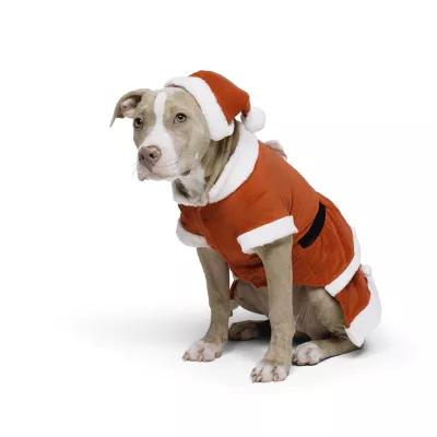 Santa-Paws Dog Holiday Set