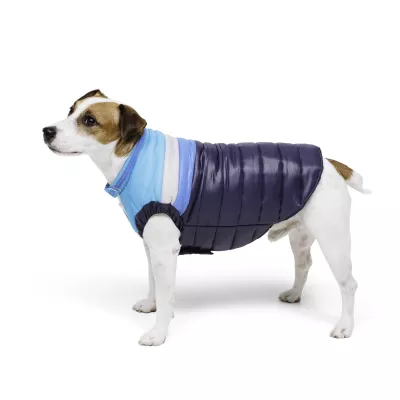 The Bundled Bark